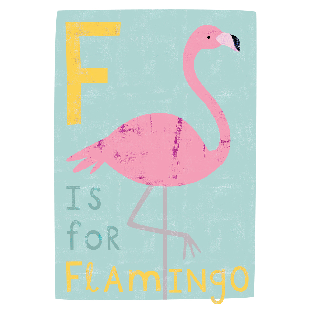 Flamingo